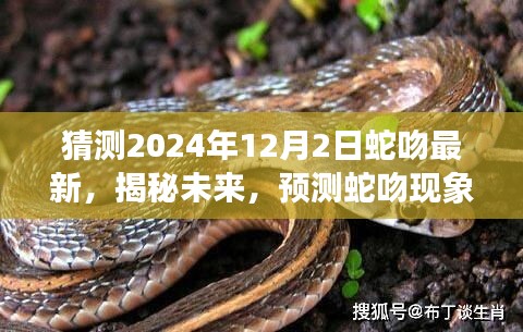 天潢贵胄 第4页