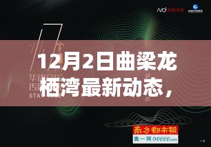 新闻动态 第444页