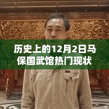 探寻历史上的马保国武馆，热门现状下的入门指南与技能进阶攻略，探寻武馆历史与现状揭秘！