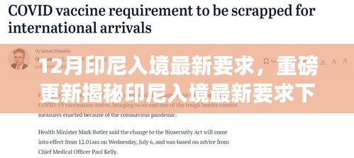 揭秘印尼入境最新科技革新，前沿科技产品与体验的魅力改变生活！