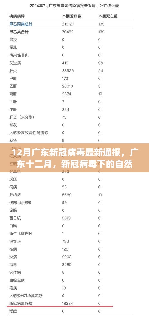 广东十二月新冠病毒最新通报，自然探索之旅寻找内心宁静绿洲
