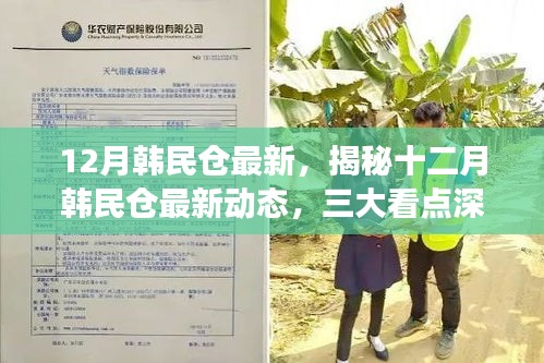 揭秘十二月韩民仓最新动态，三大看点深度解读速递