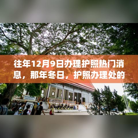 删华就素 第3页