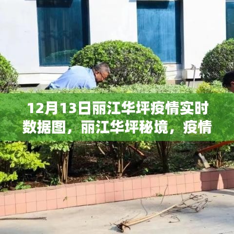 丽江华坪疫情实时数据图，疫情下的自然之旅与心灵港湾探寻