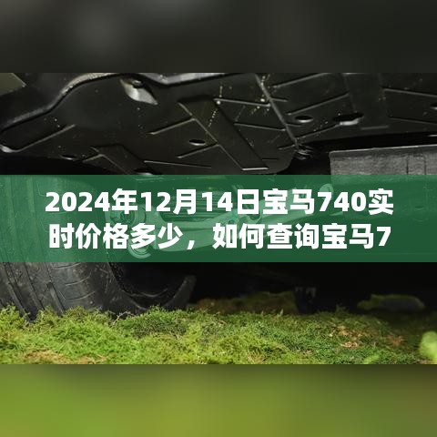 初学者指南，如何查询宝马740在特定日期的实时价格（以2024年12月14日为例）