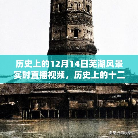 五侯七贵 第3页