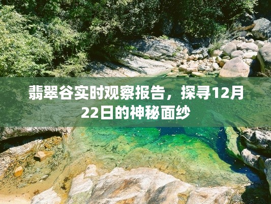 昙花一现 第2页
