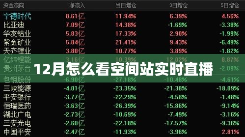 新闻动态 第233页
