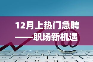 职场新机遇急聘，等你来挑战！