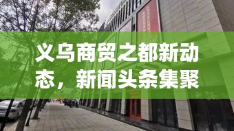 义乌商贸之都新动态，新闻头条集聚，繁荣脉搏速览