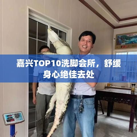 鸟之将死 第2页
