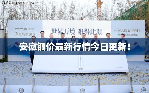 优秀课例 第65页