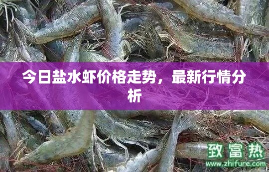 闻所未闻