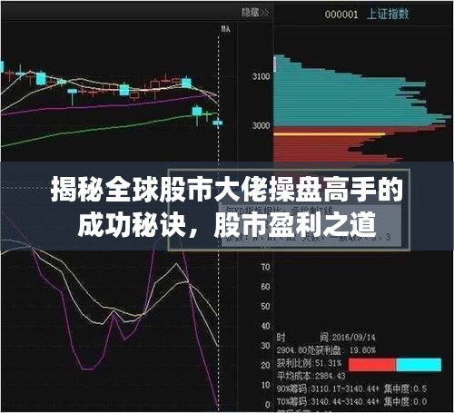 揭秘全球股市大佬操盘高手的成功秘诀，股市盈利之道