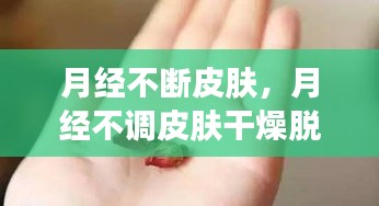 避凶就吉