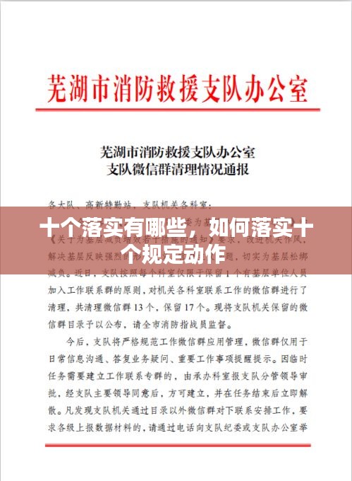 十个落实有哪些，如何落实十个规定动作 