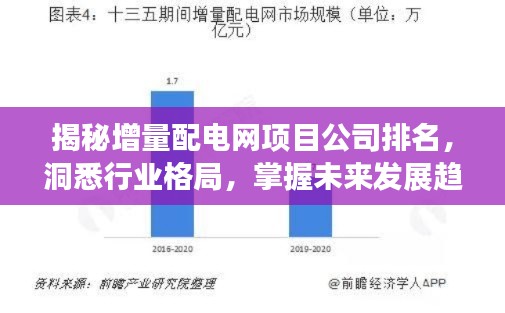 揭秘增量配电网项目公司排名，洞悉行业格局，掌握未来发展趋势