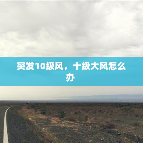 突发10级风，十级大风怎么办 