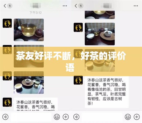 茶友好评不断，好茶的评价语 