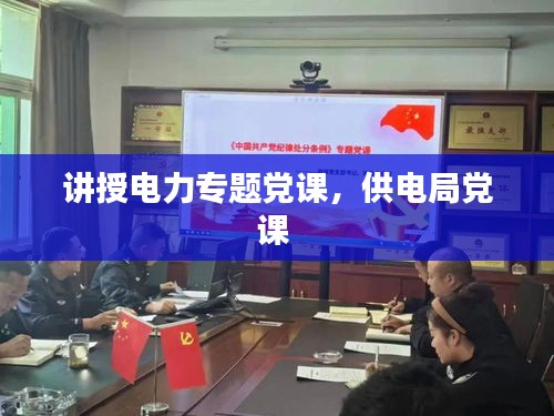 讲授电力专题党课，供电局党课 