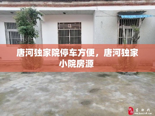 惊弓之鸟