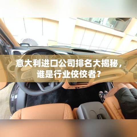 意大利进口公司排名大揭秘，谁是行业佼佼者？