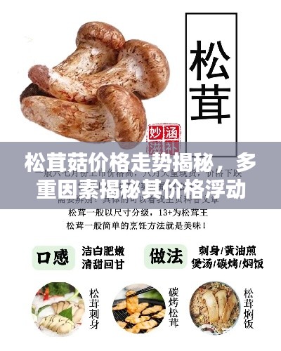 蛙鼓蝉鸣