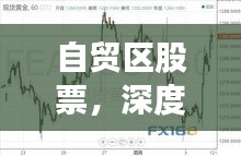 自贸区股票，深度探索与投资黄金机遇