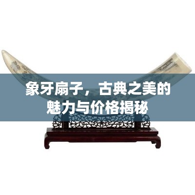 象牙扇子，古典之美的魅力与价格揭秘