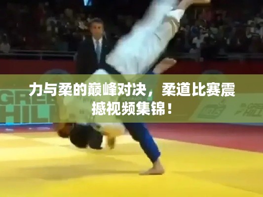 力与柔的巅峰对决，柔道比赛震撼视频集锦！