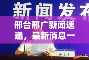 邢台邢广新闻速递，最新消息一览
