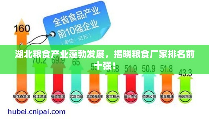 湖北粮食产业蓬勃发展，揭晓粮食厂家排名前十强！