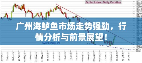 广州海鲈鱼市场走势强劲，行情分析与前景展望！