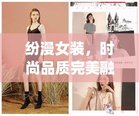纷漫女装，时尚品质完美融合，价格亲民！