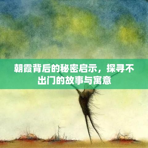 朝霞背后的秘密启示，探寻不出门的故事与寓意