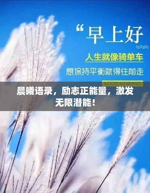 晨曦语录，励志正能量，激发无限潜能！