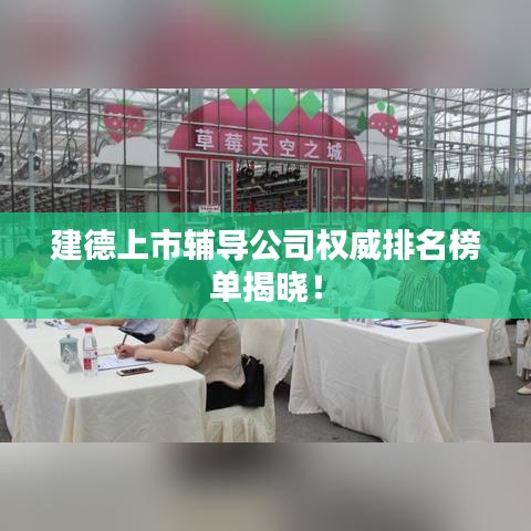 建德上市辅导公司权威排名榜单揭晓！