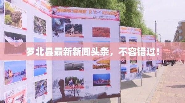 罗北县最新新闻头条，不容错过！