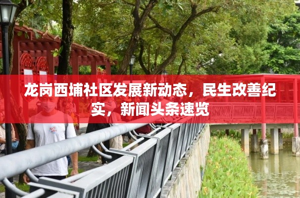 龙岗西埔社区发展新动态，民生改善纪实，新闻头条速览