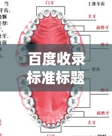 百度收录标准标题，智牙图片大放送，探索牙齿健康之美