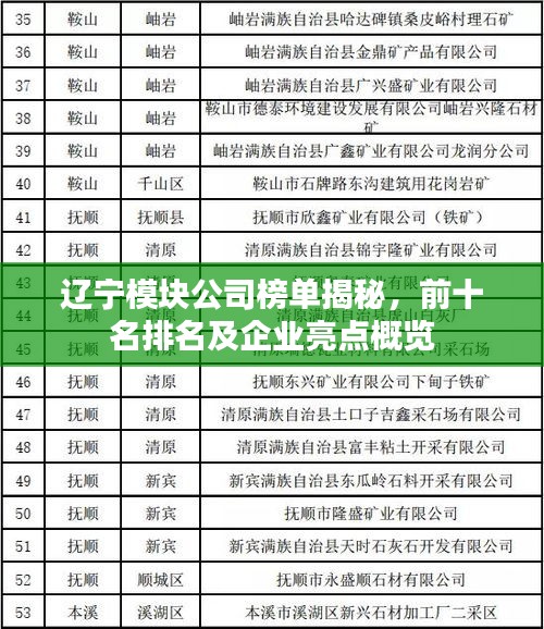 辽宁模块公司榜单揭秘，前十名排名及企业亮点概览