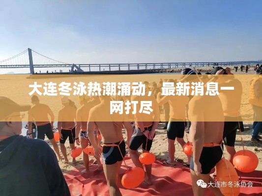 大连冬泳热潮涌动，最新消息一网打尽